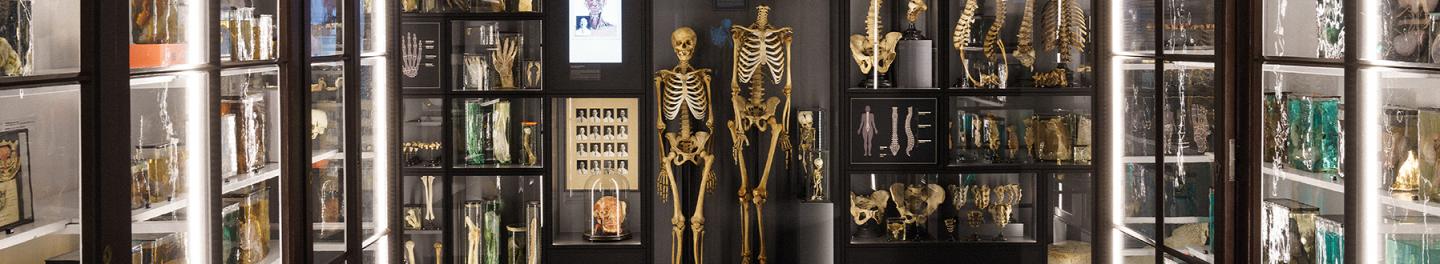 RSU Anatomy Museum i Riga